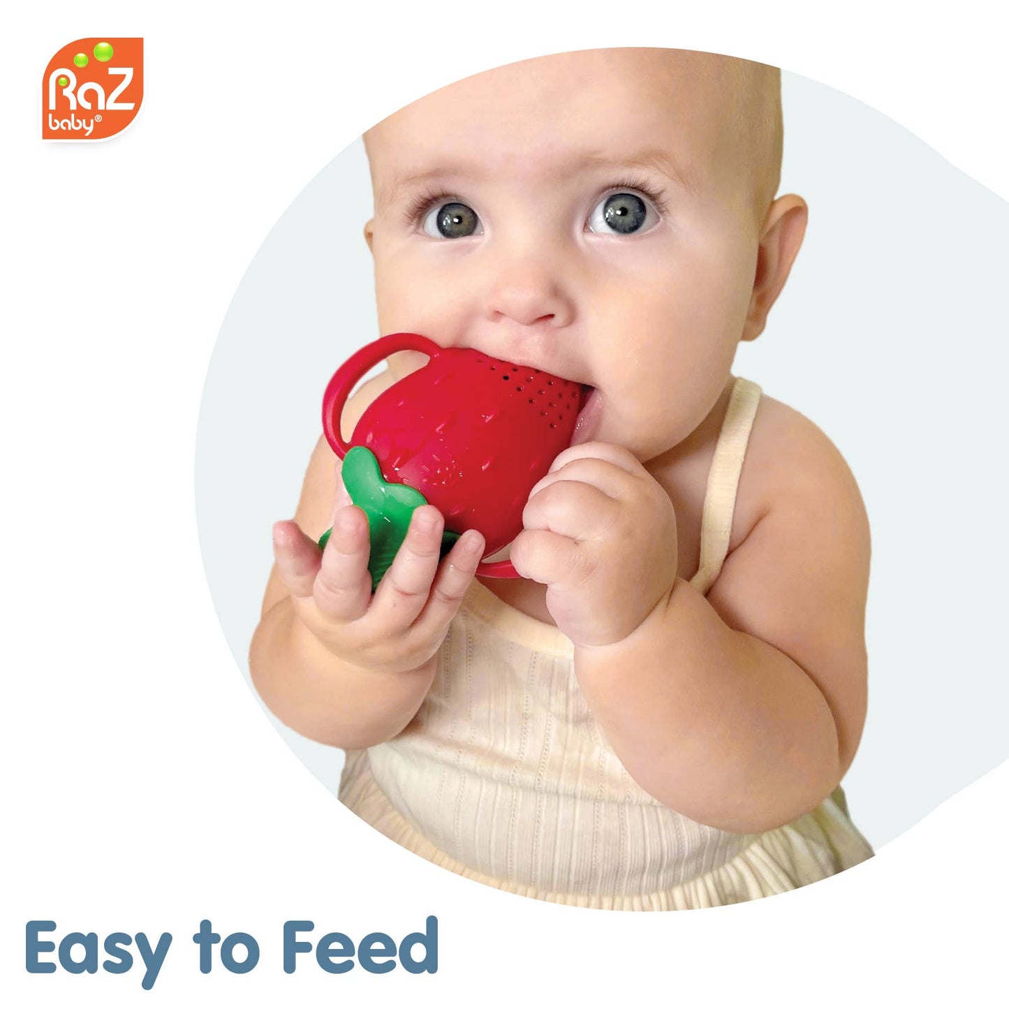 Fruitique Fruit Feeder & Teether
