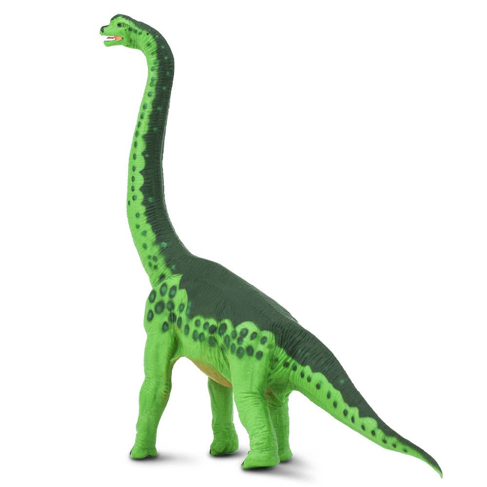 Brachiosaurus - 278229