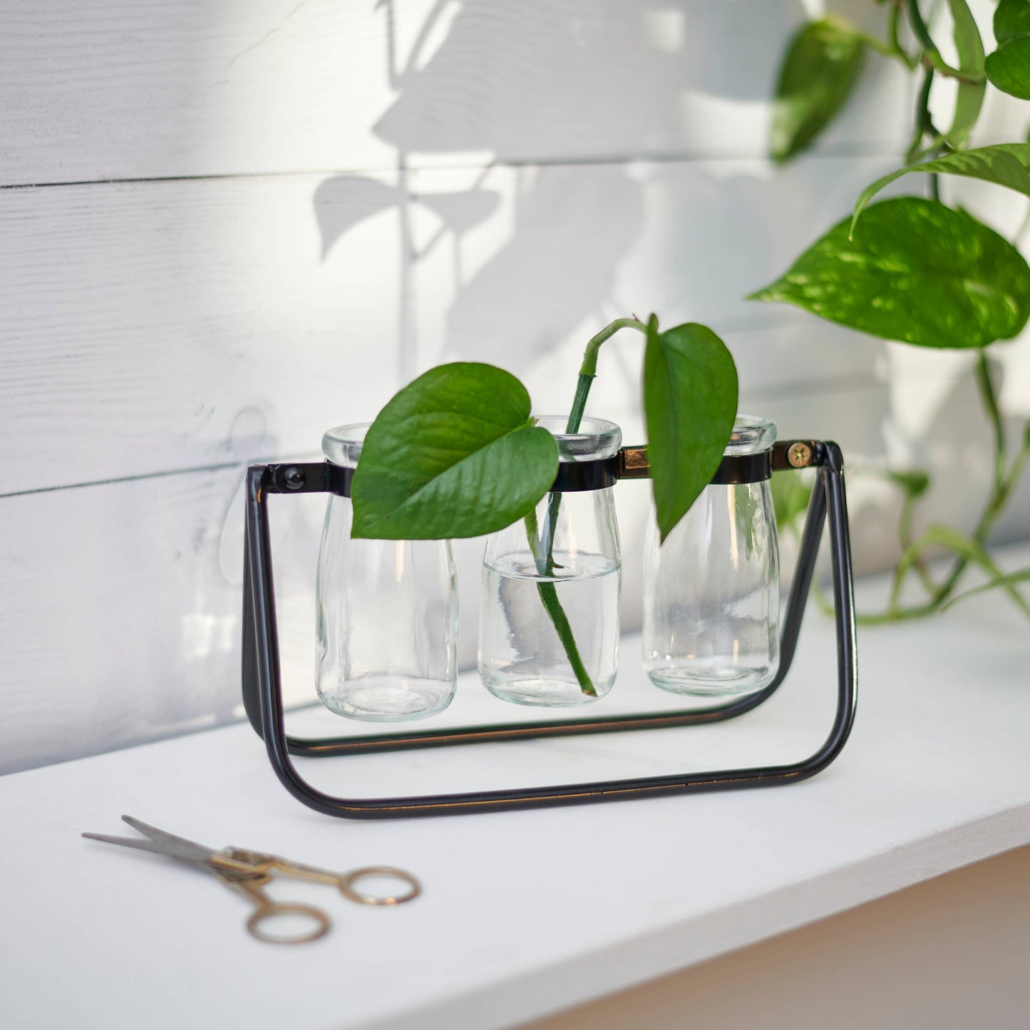 Milk Bottles Test Tube Vase
