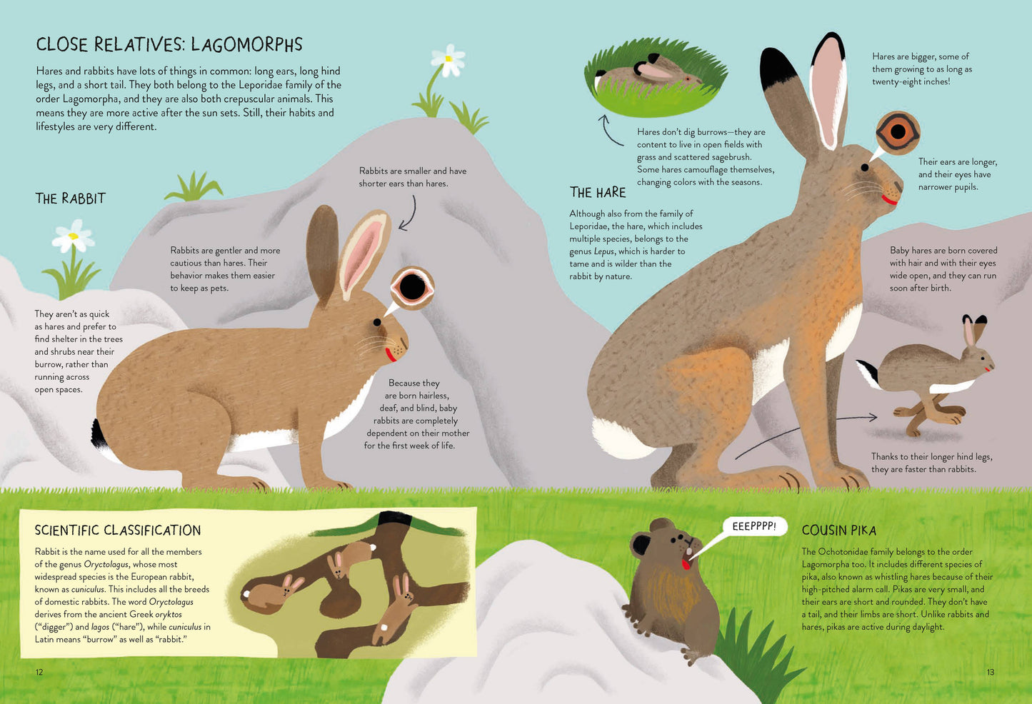 Rabbitology