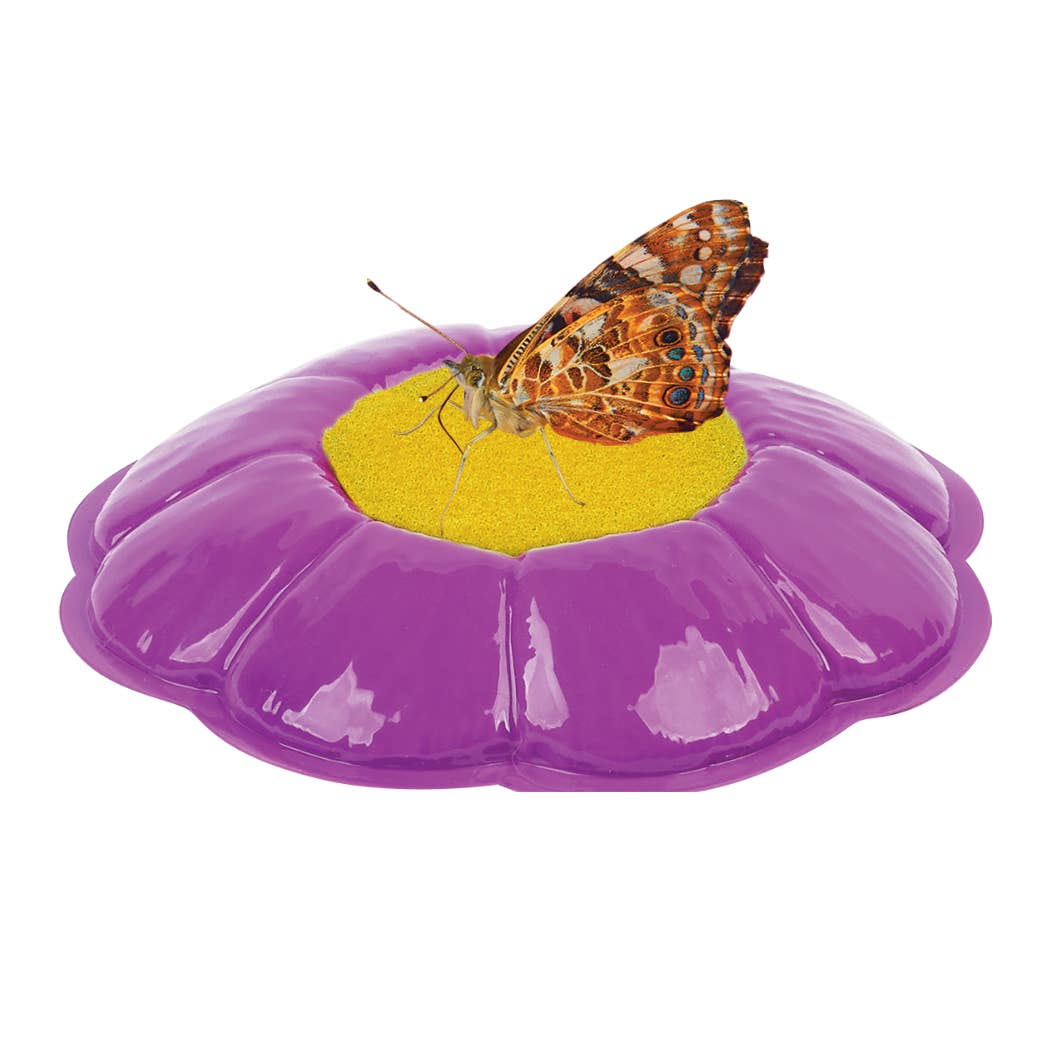 Butterfly Garden