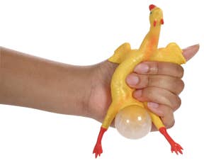 Chicken N' Egg