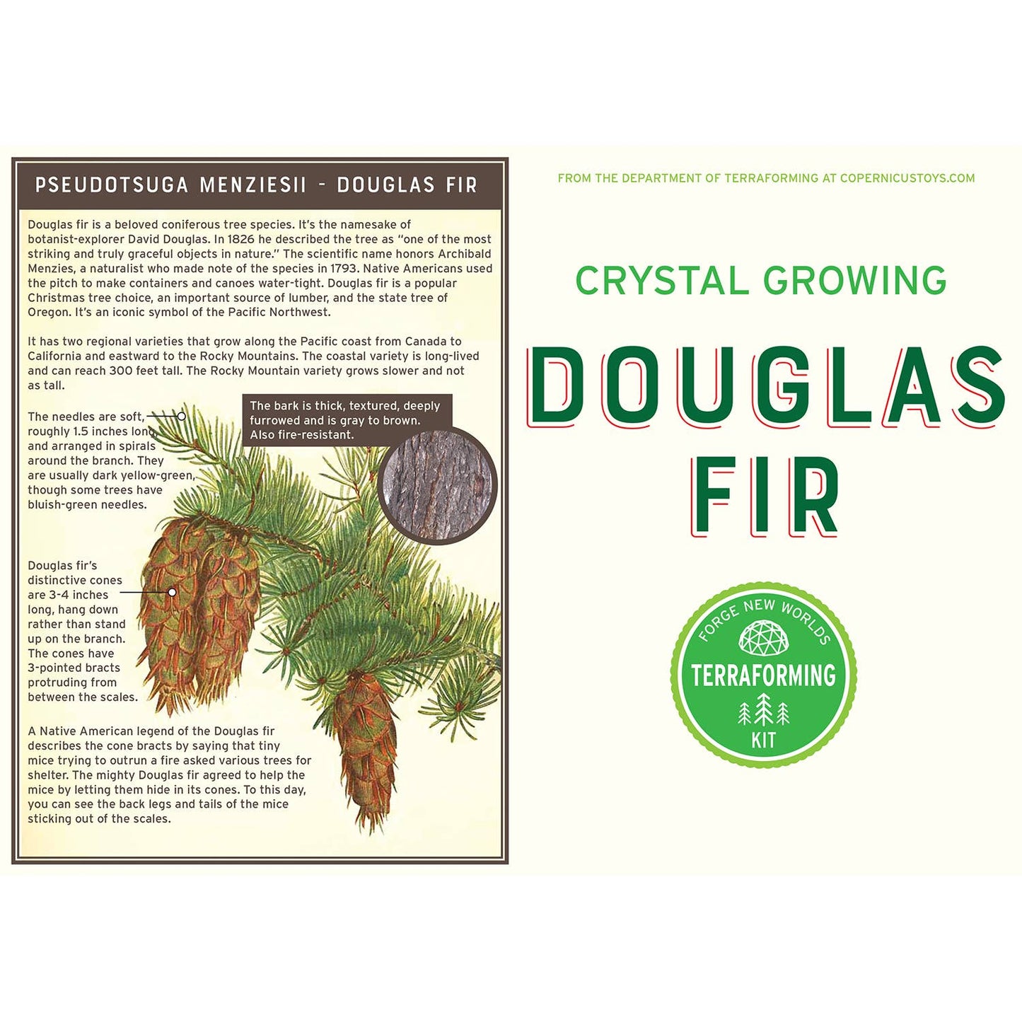 Douglas Fir Crystal Growing