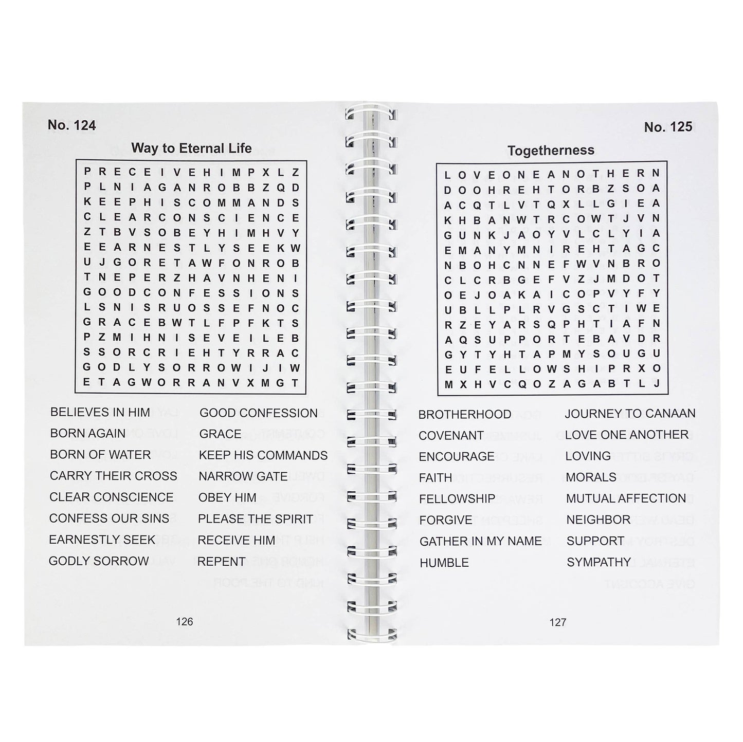 Bible Large Print Word Search Puzzle Book