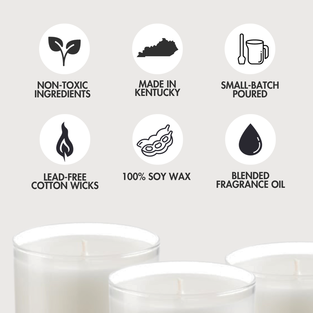 Wild berry Cheesecake Candle 9.2 Oz