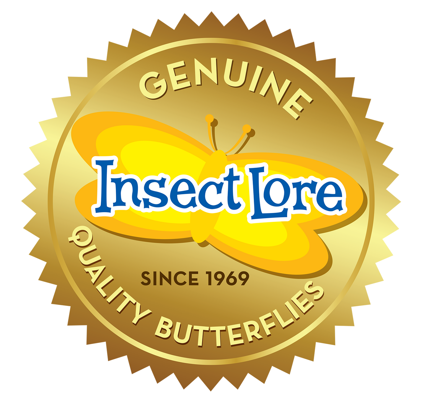Butterfly Garden