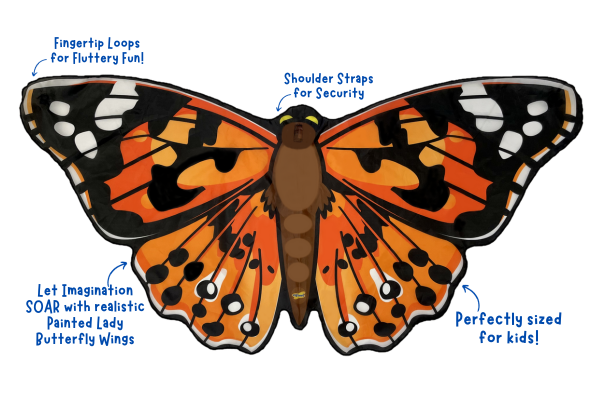 Painted Lady Butterfly Wings