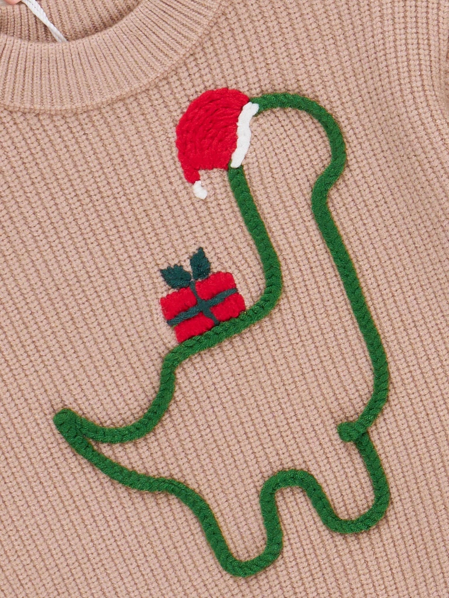 Merry Dino Present Sweater