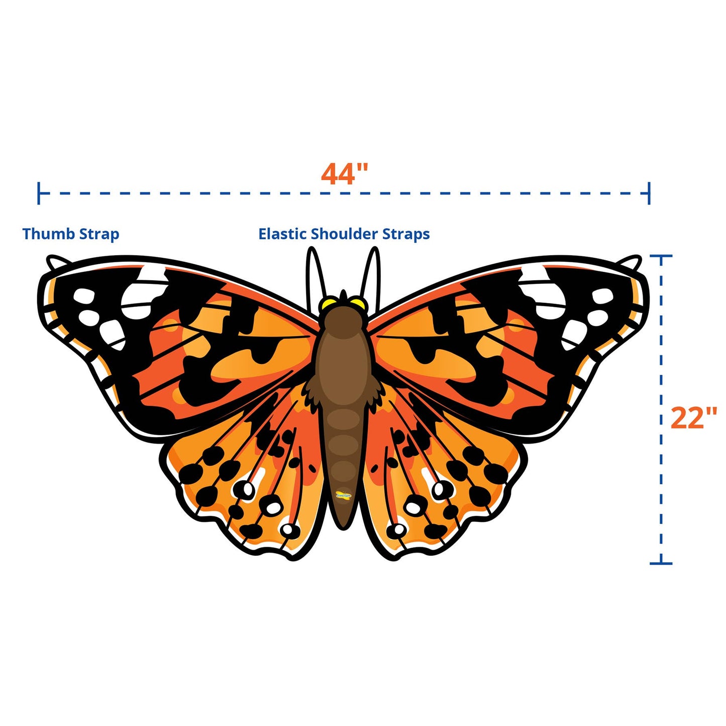 Painted Lady Butterfly Wings