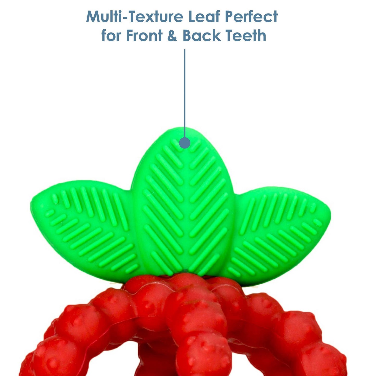 RaZberry Bites Teether