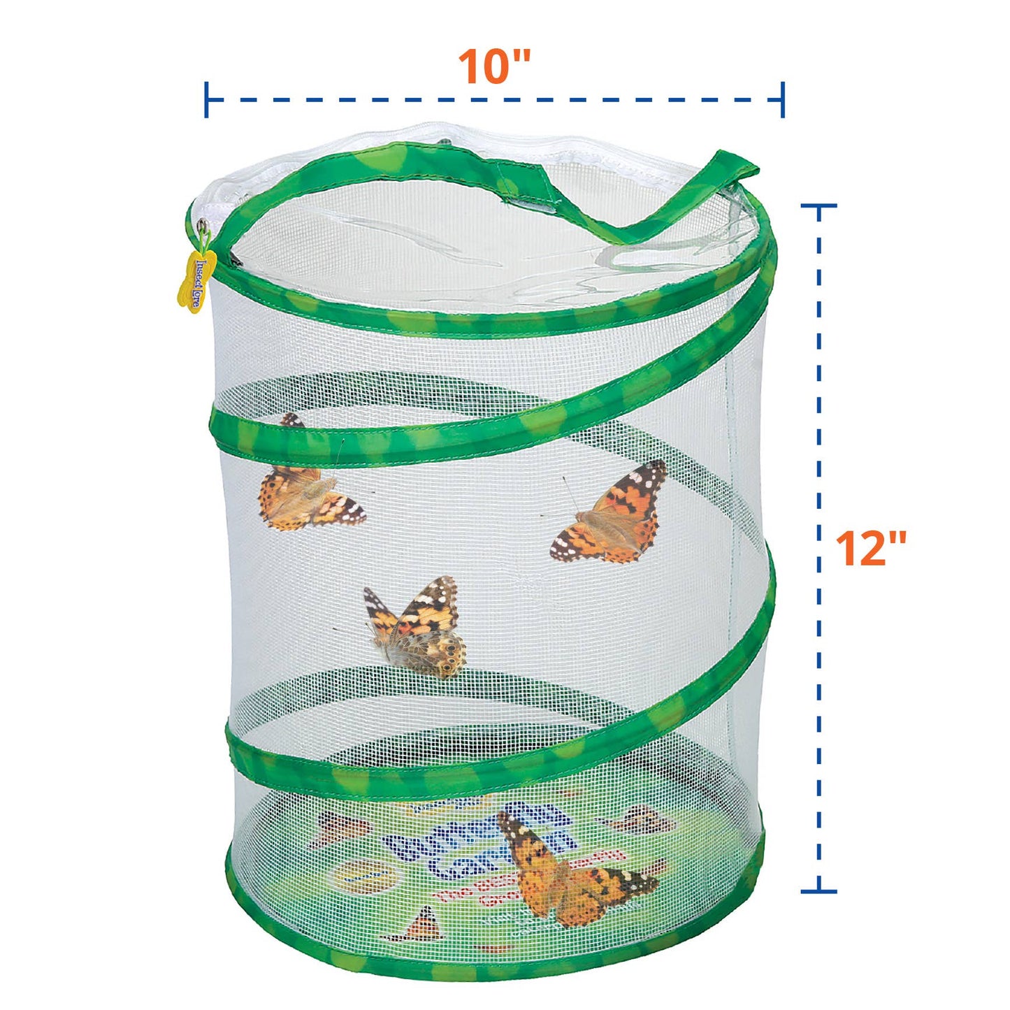Butterfly Garden