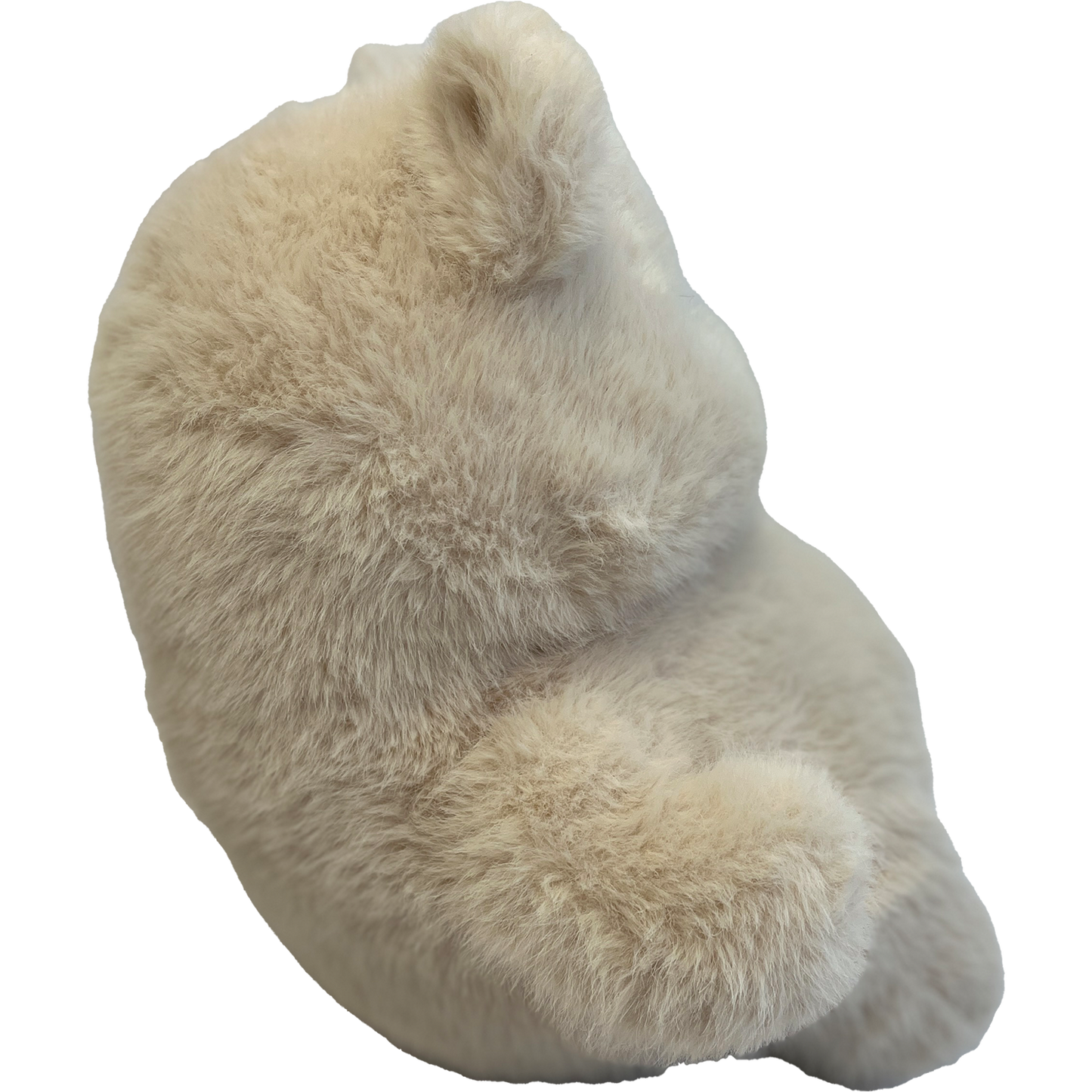 Bear Chunka Dunkas
