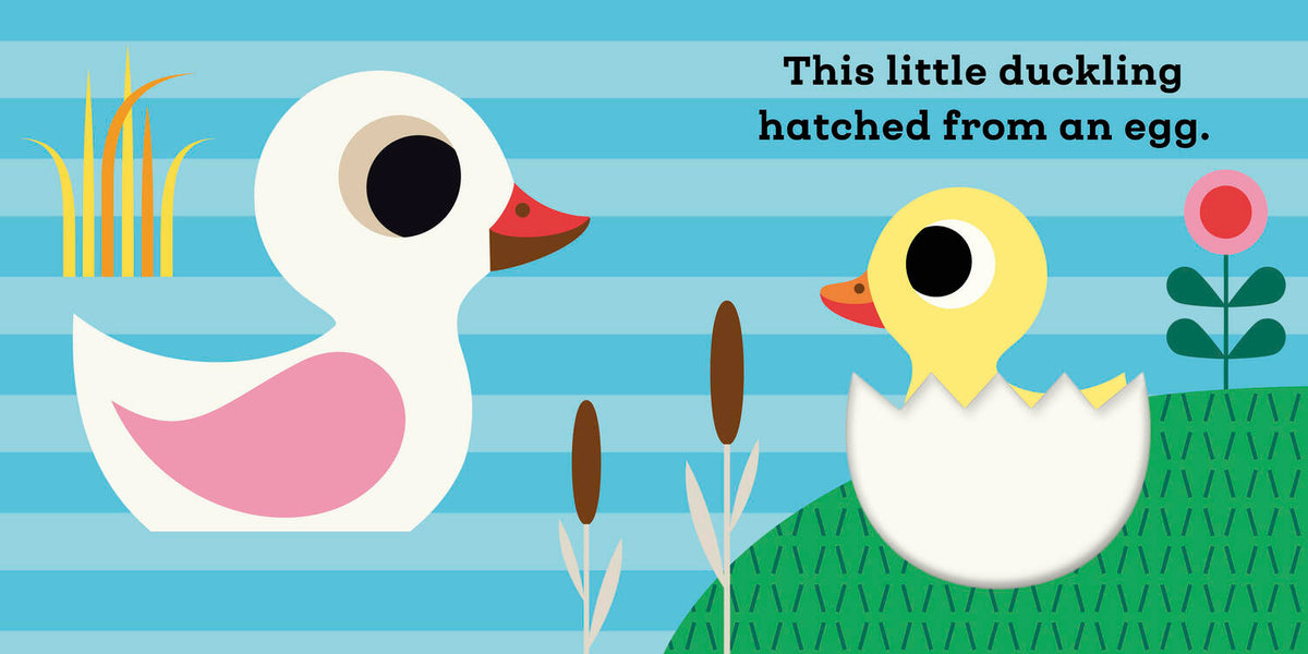 This Little Duckling: A Touch and Feel Book