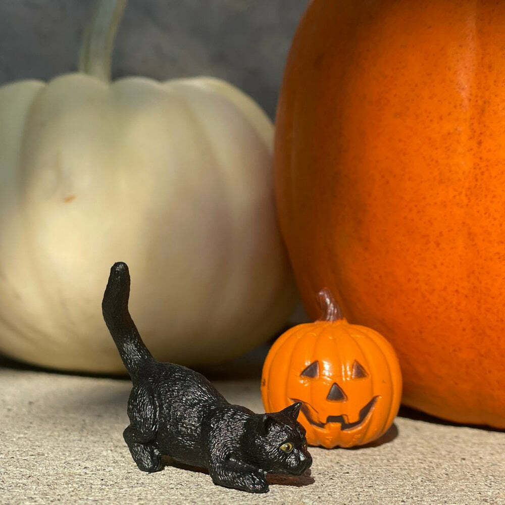 Halloween TOOB