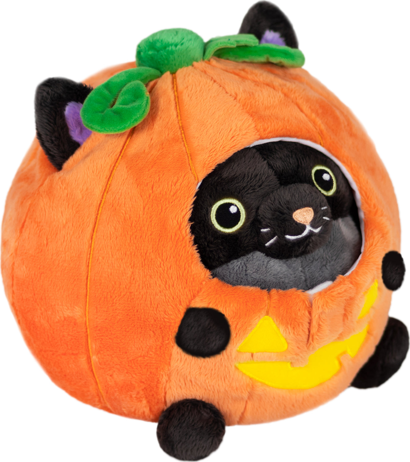 Black Kitty in Pumpkin
