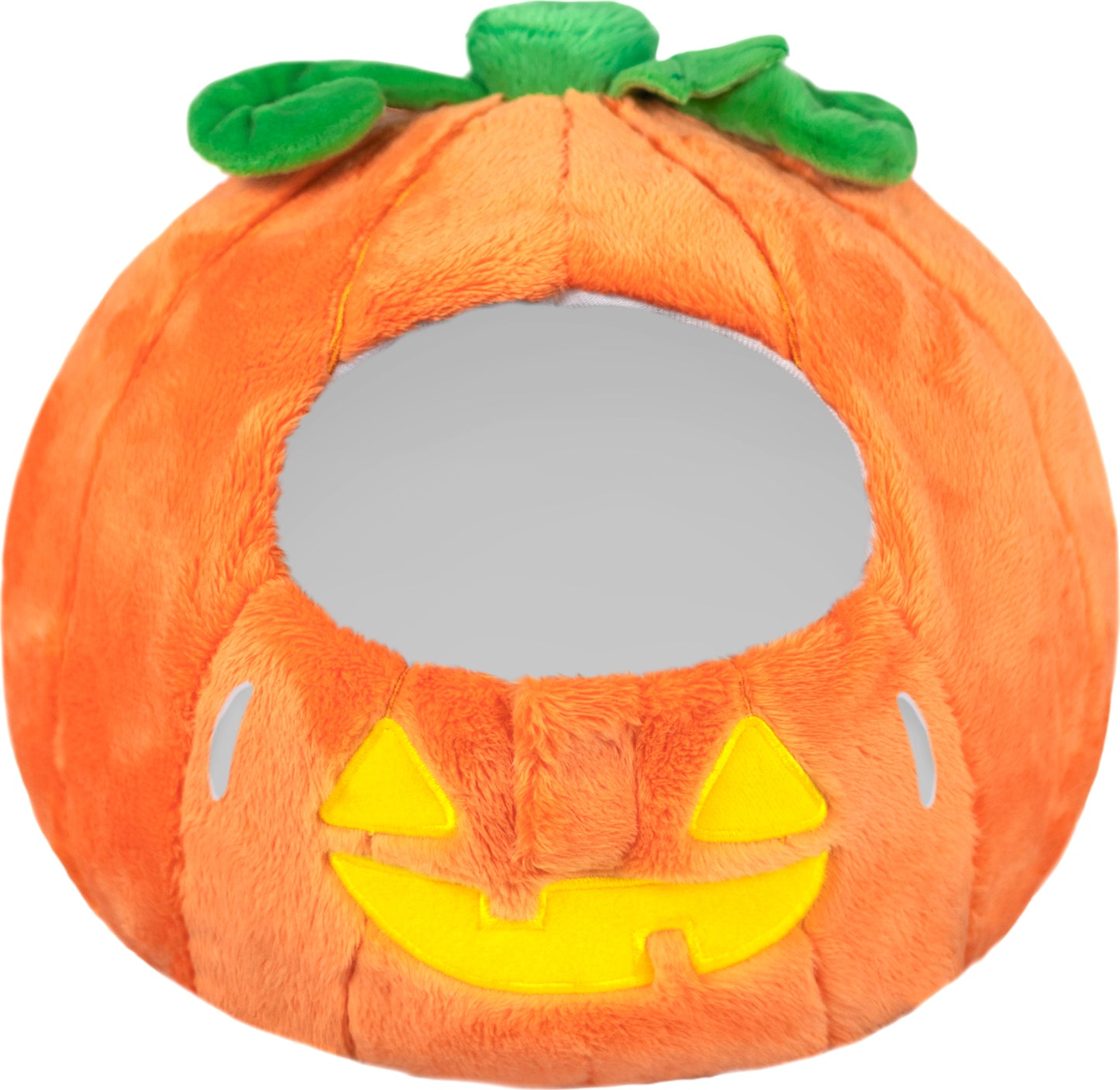 Black Kitty in Pumpkin