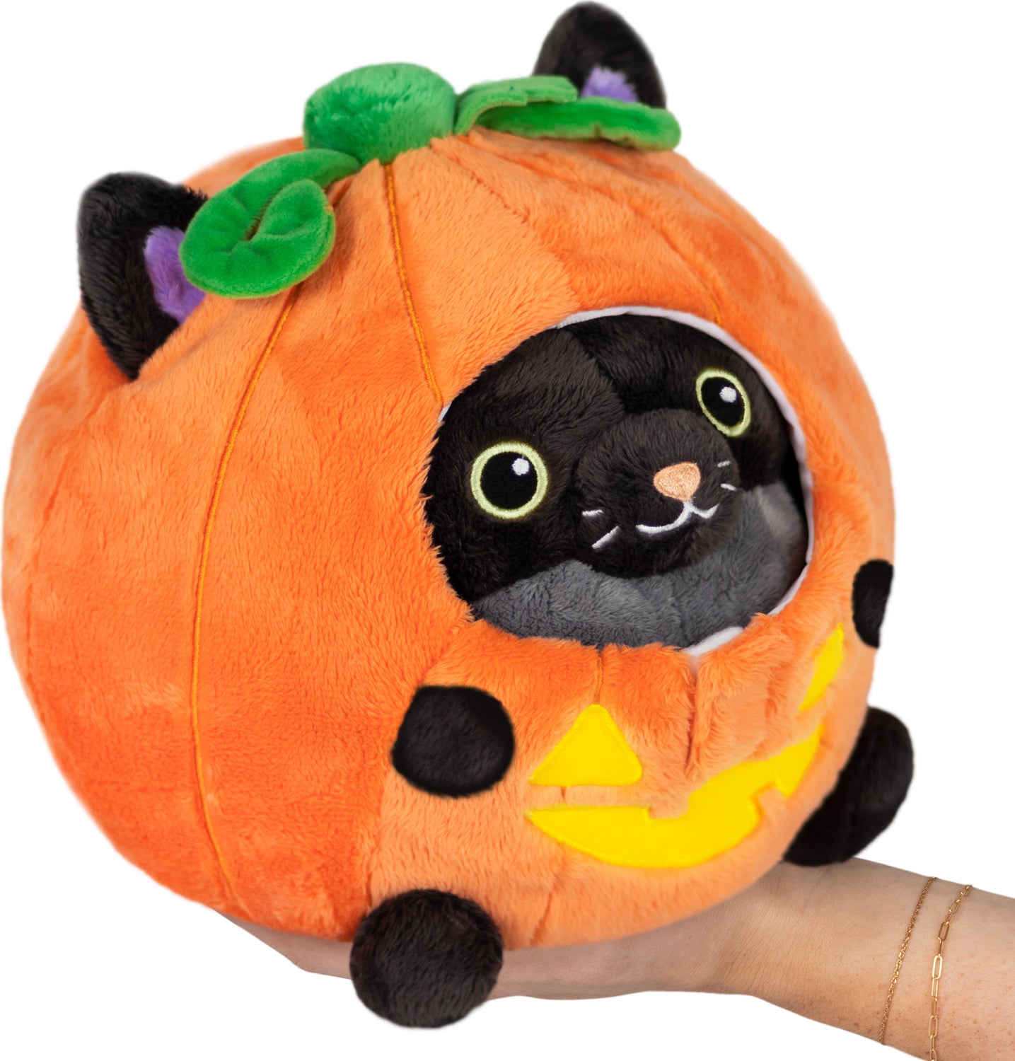 Black Kitty in Pumpkin