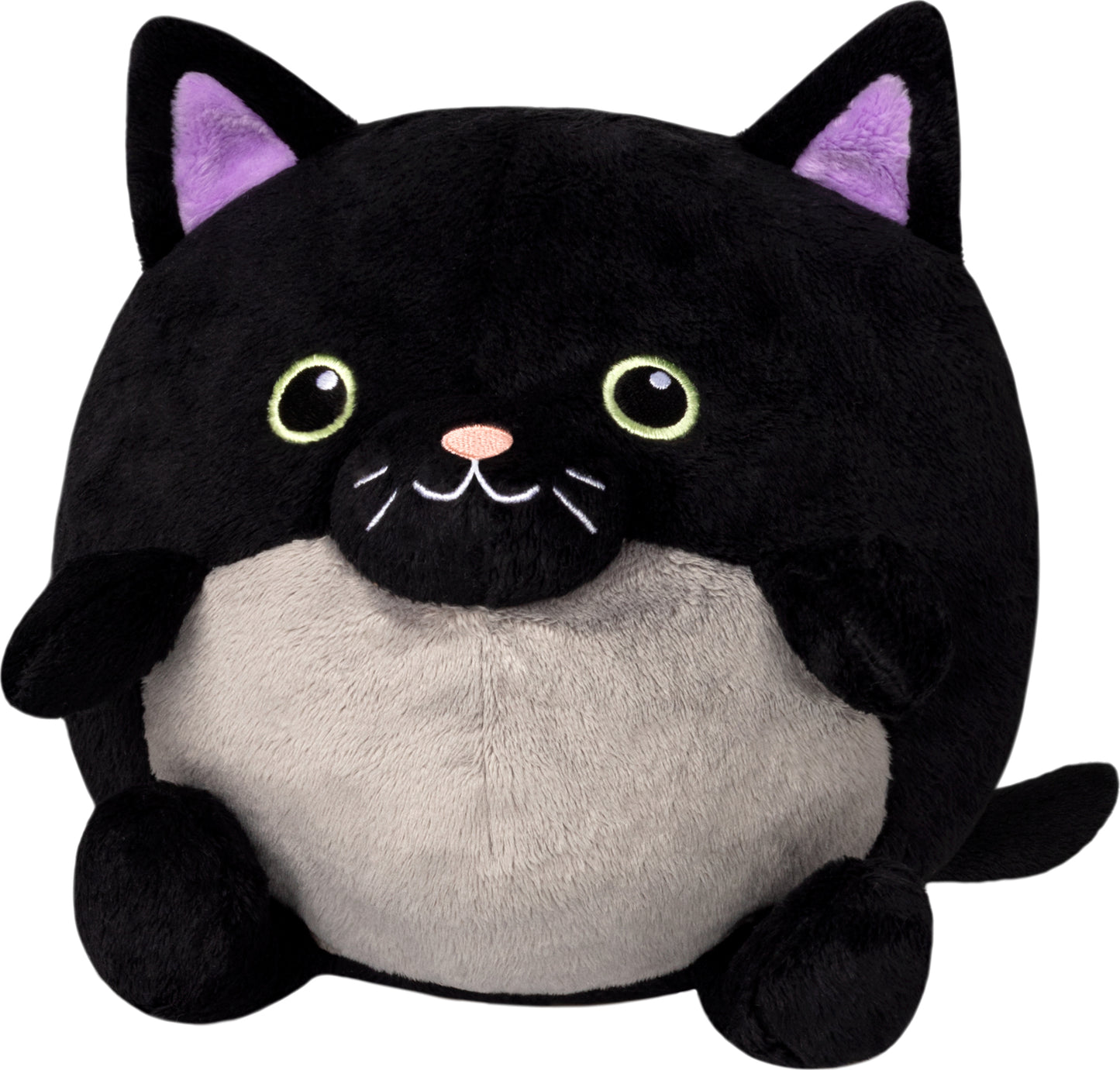 Black Kitty in Pumpkin