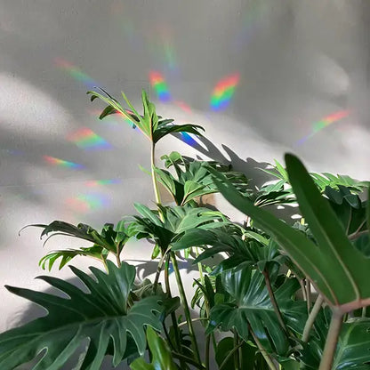 You're made of magic Suncatcher