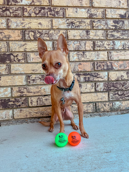 Fetch & Glow Ball