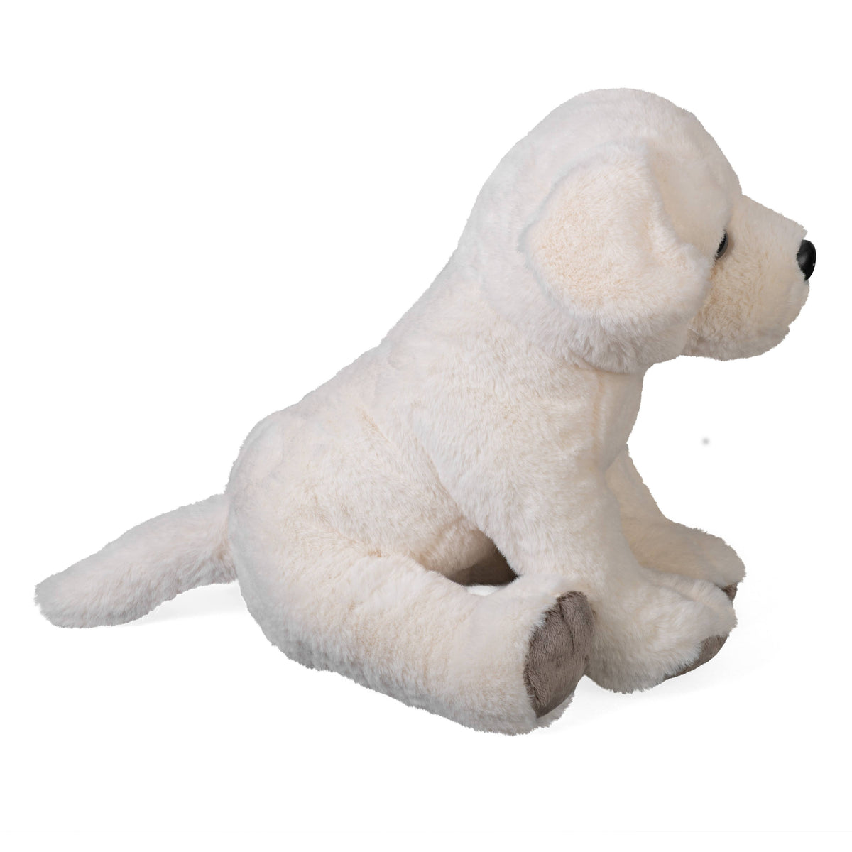 Yellow Labrador