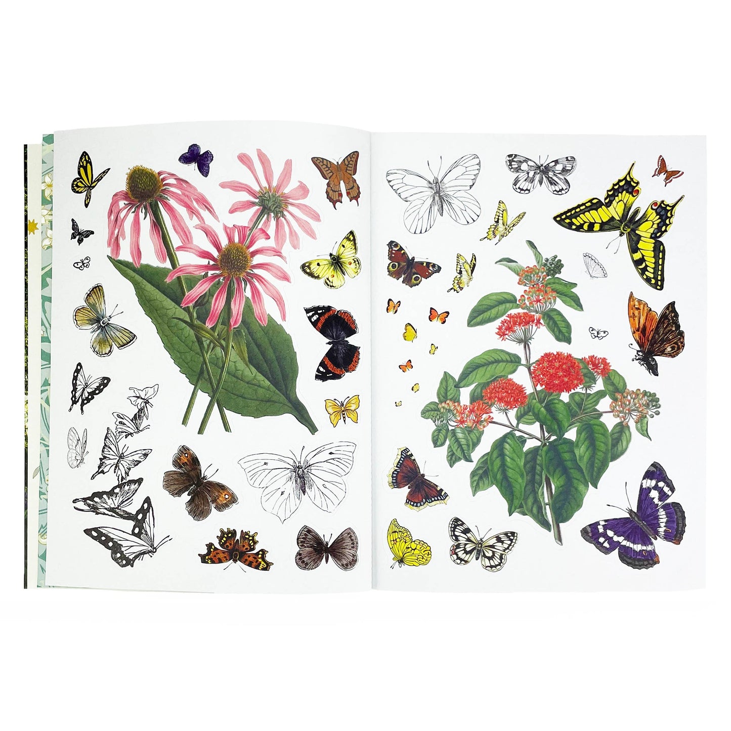 Woodlandia Sticker Book