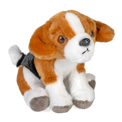 Beagle Pocketkins