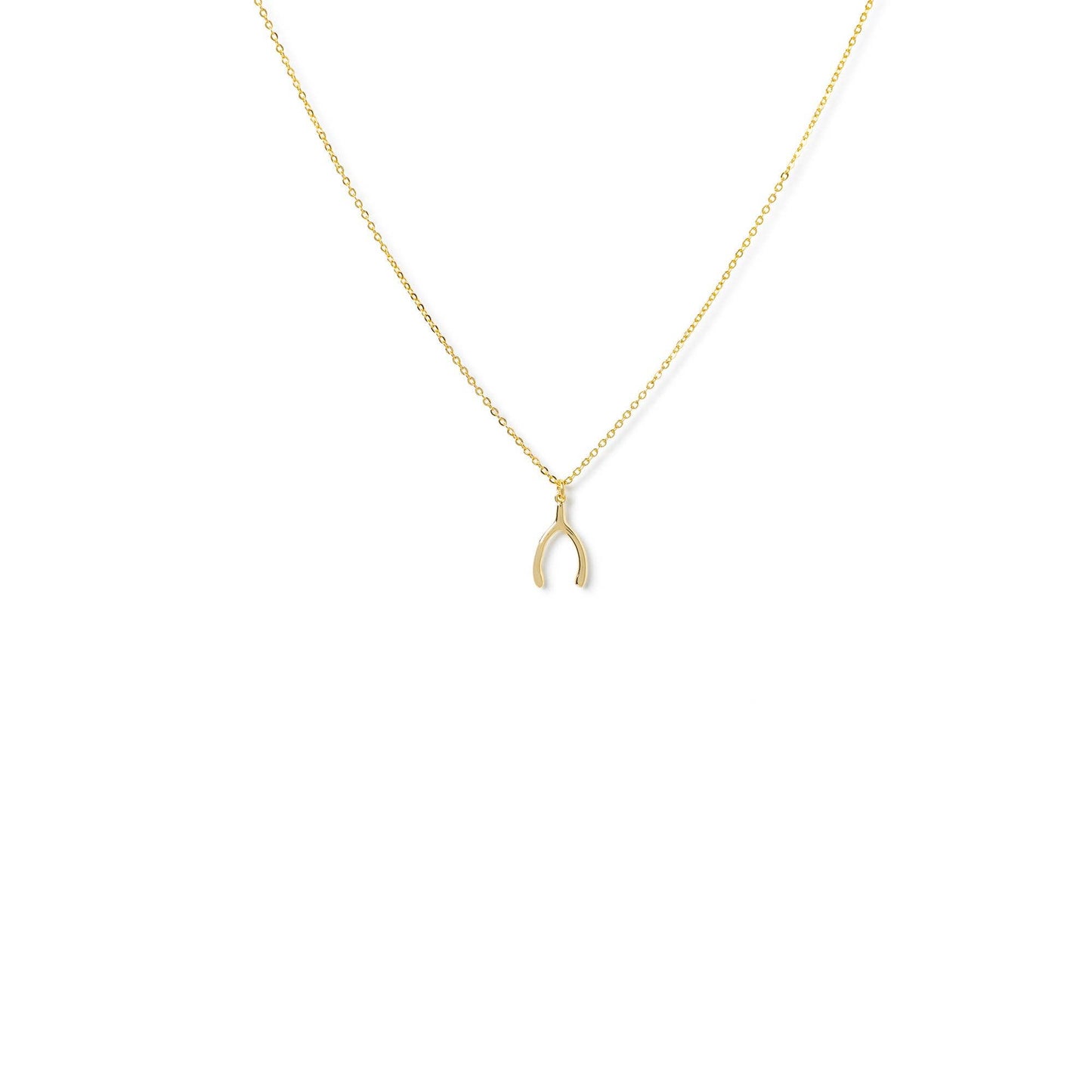 Wishbone Lucky You Necklace