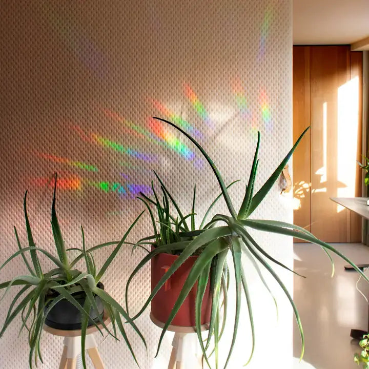 Slow down Suncatcher