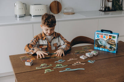 Dinosaurs under X-Ray