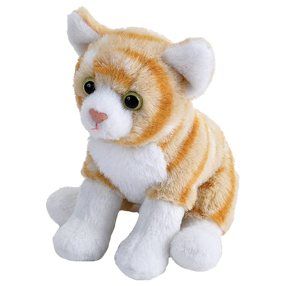 Orange Cat Pocketkins