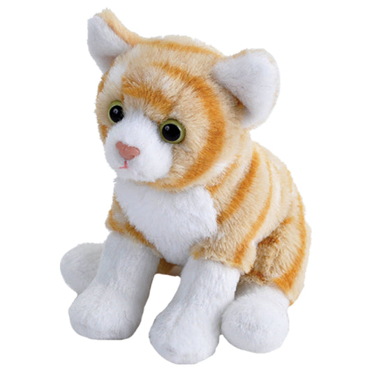 Orange Cat Pocketkins