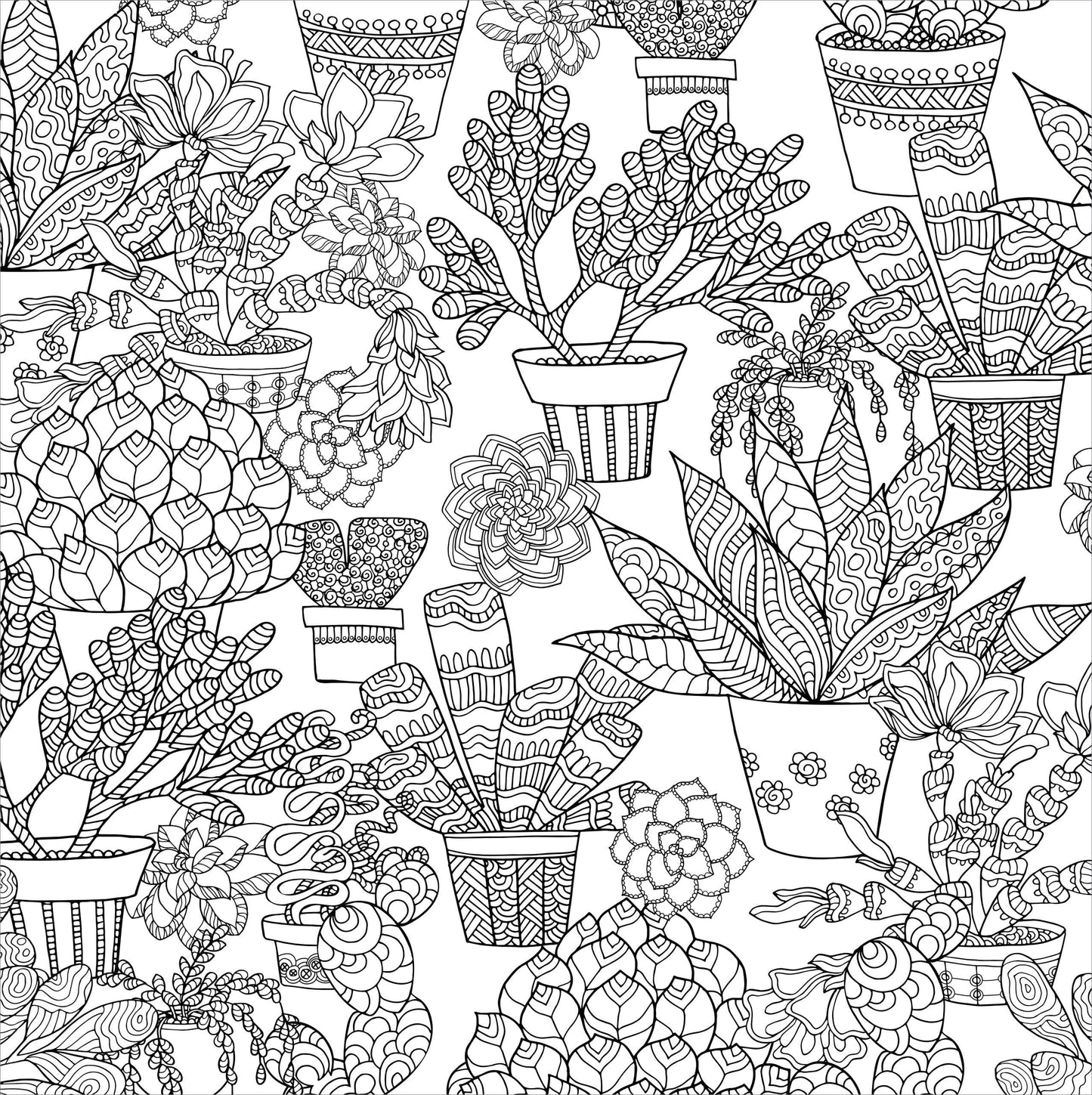 Succulents Adult Coloring Book