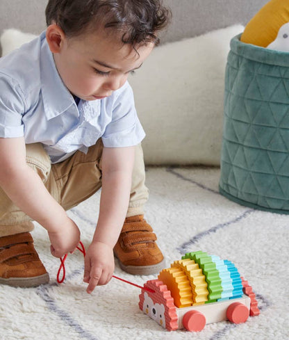 Rainbow Hedgehog Wooden Pull Toy