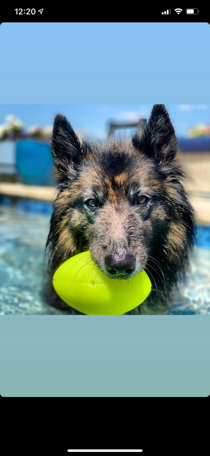 Squeak & Glow Football