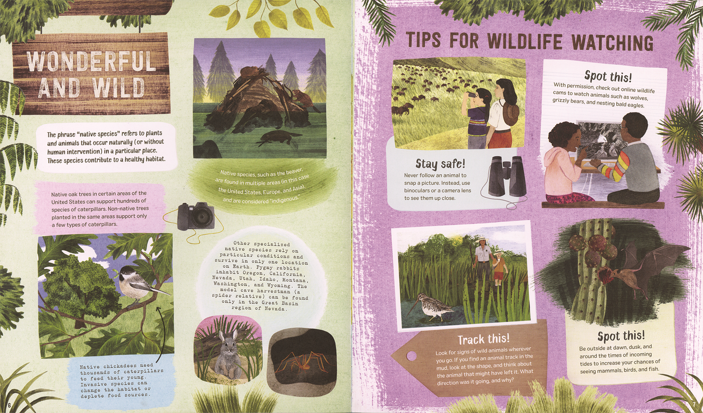 America's Wildlife