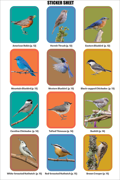 Birder's Logbook: A Sticker Book for Budding Ornithologists