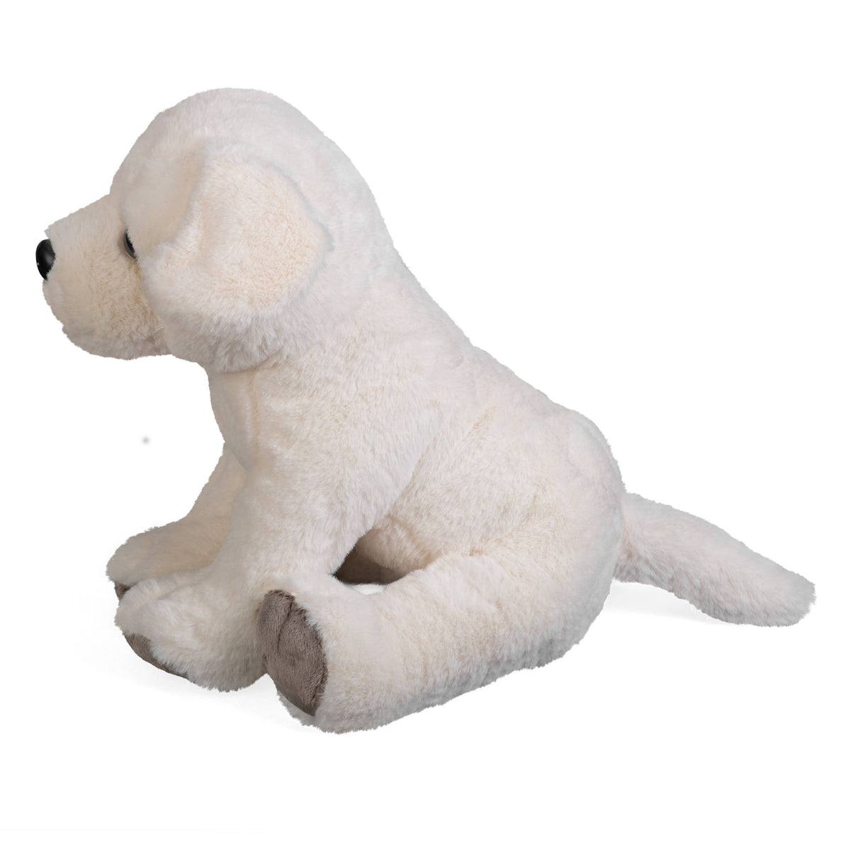 Yellow Labrador