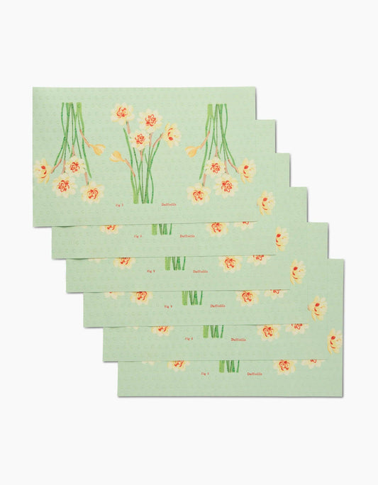 March Daffodils Not Paper Towel Set