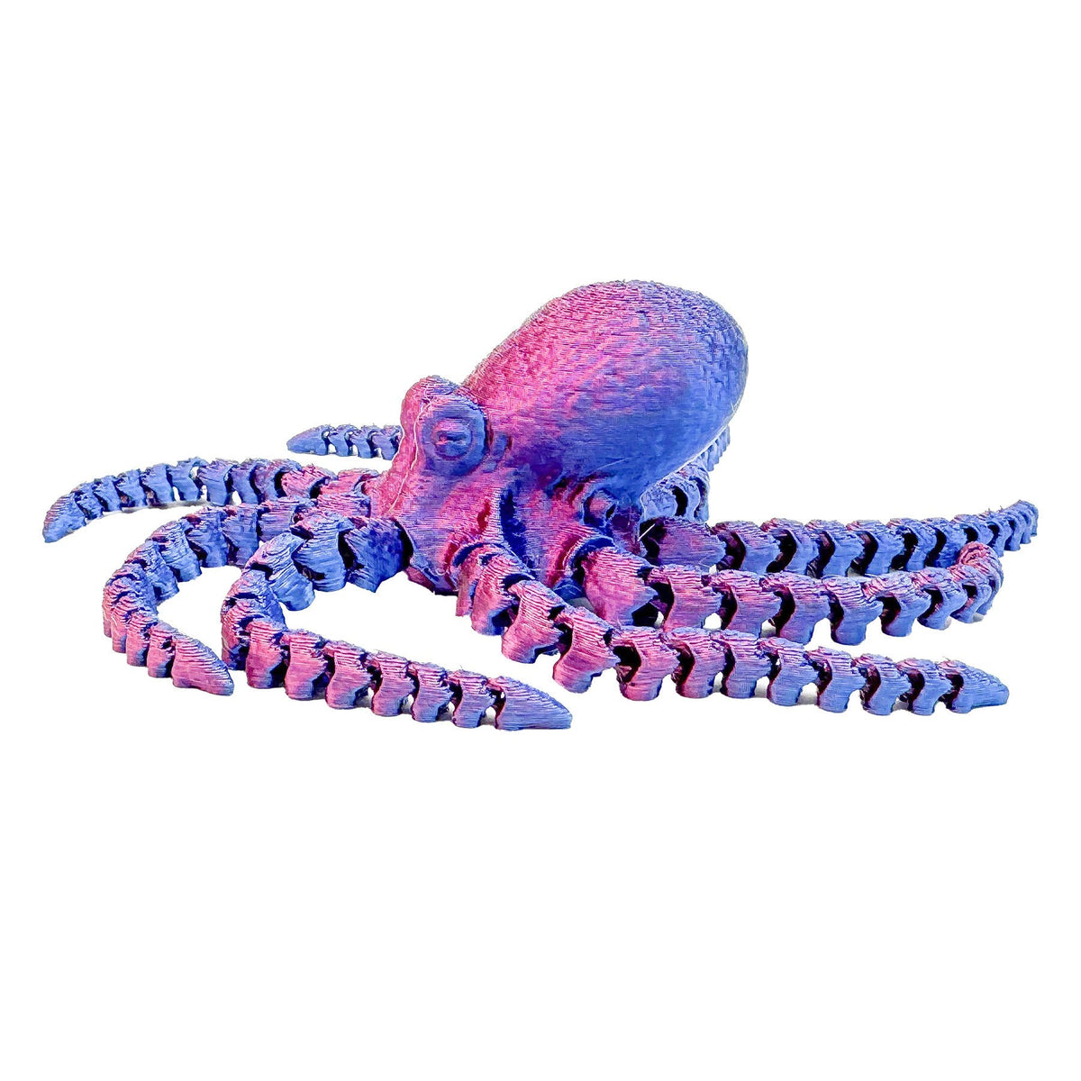 3D Octopus Fidget Toy