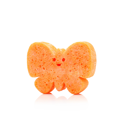 Bella Butterfly Nature Animals Sponge