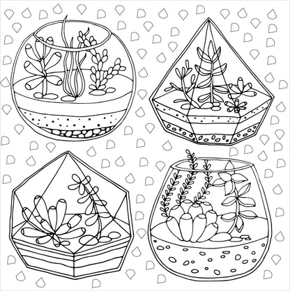 Succulents Adult Coloring Book