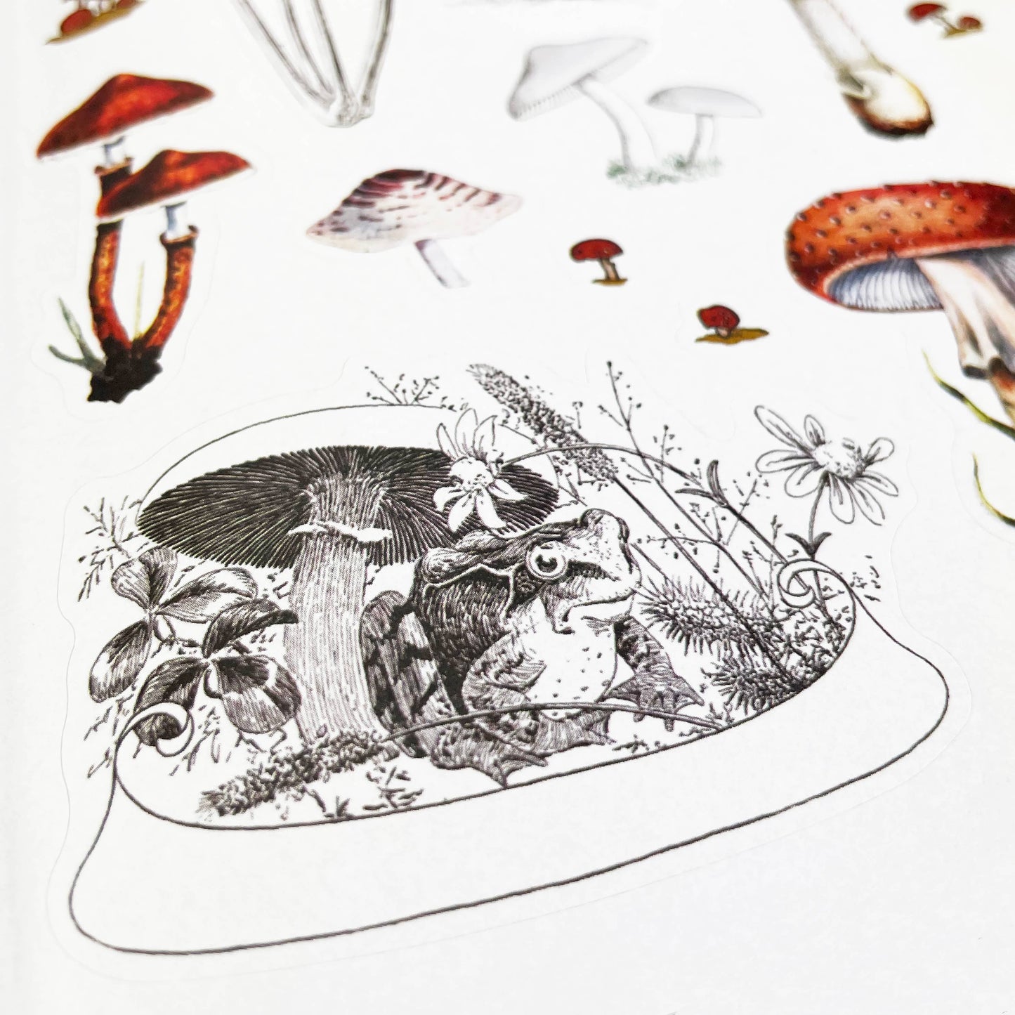 Woodlandia Sticker Book