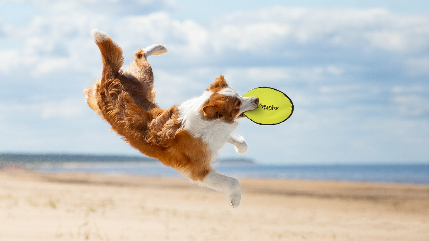 Spunky Soft Disc