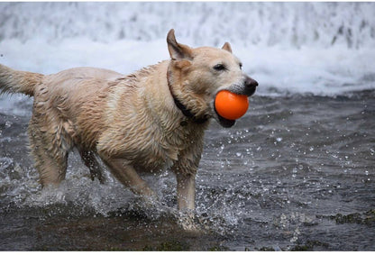 Fetch & Glow Ball