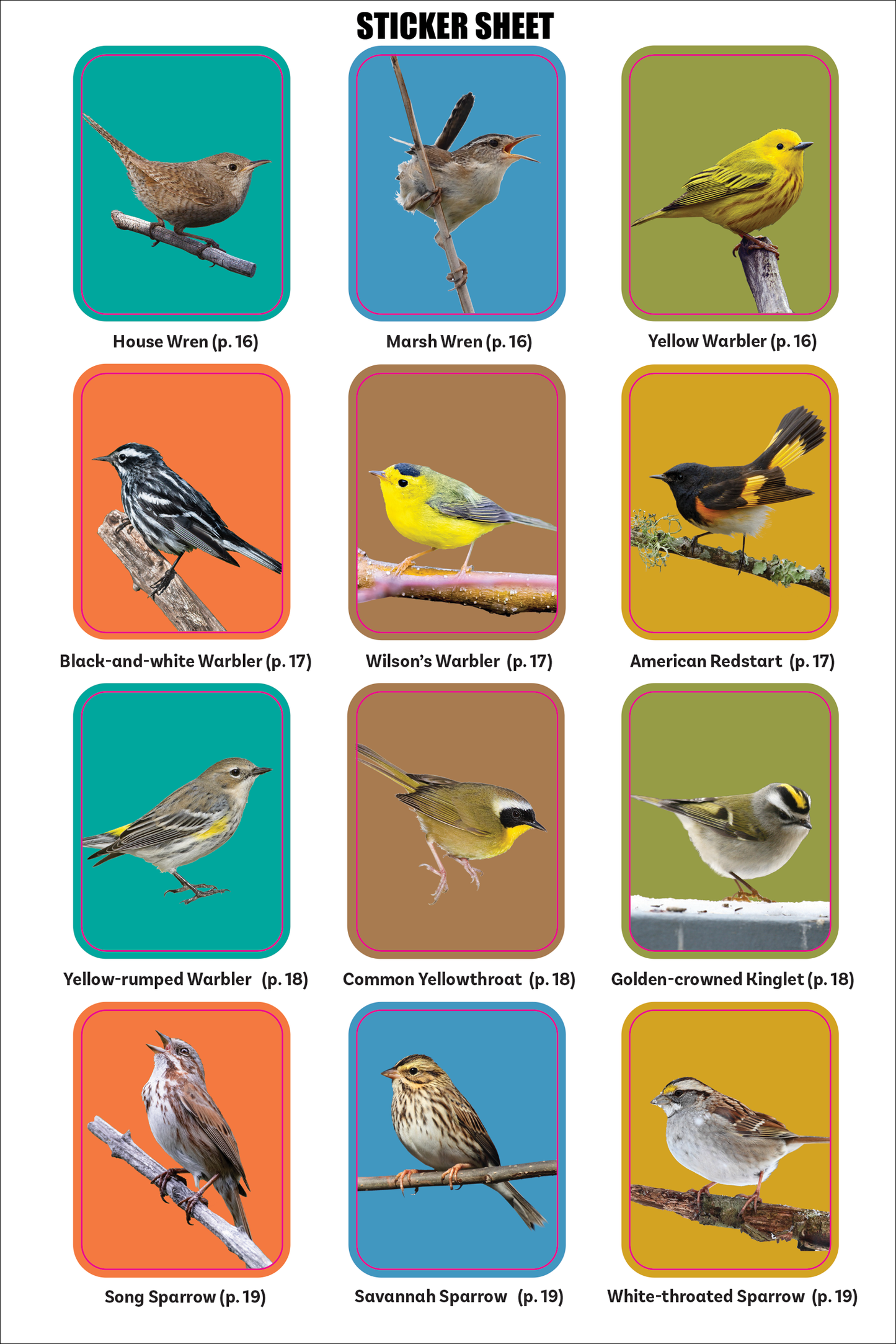 Birder's Logbook: A Sticker Book for Budding Ornithologists