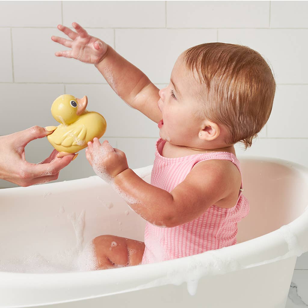 Mallard Itzy Ducky Family