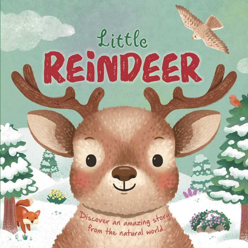 Little Reindeer Nature Stories