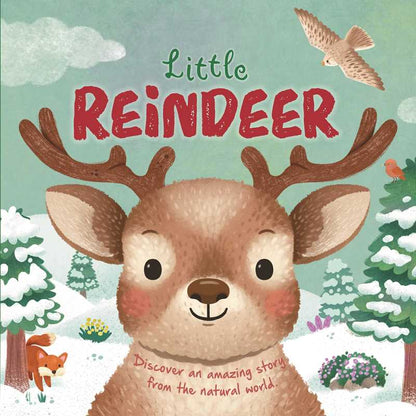 Little Reindeer Nature Stories