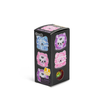 Kitties Diddy Sugar Squishy